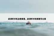 欧洲杯手机去哪里看，欧洲杯手机哪里可以看