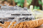 托特纳姆英超？ 托特纳姆队徽？