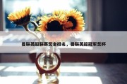 曼联英超联赛奖金排名，曼联英超冠军奖杯