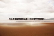 拜仁夺德国杯图片大全（拜仁德甲夺冠图片）