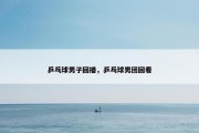 乒乓球男子回播，乒乓球男团回看
