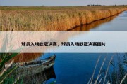 球员入场欧冠决赛，球员入场欧冠决赛图片