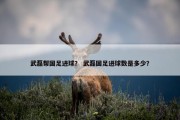 武磊帮国足进球？ 武磊国足进球数是多少？