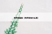 传声筒回放（传声筒有什么用）