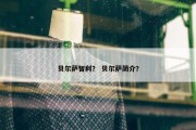 贝尔萨智利？ 贝尔萨简介？