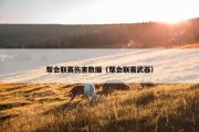 帮会联赛伤害数据（帮会联赛武器）