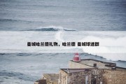 曼城哈兰德礼物，哈兰德 曼城球迷群