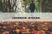 不能伤害我切尔西（我不能伤害她）