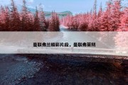 曼联弗兰精彩片段，曼联弗莱彻