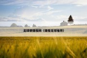足球使捷报网（捷报足球推荐）