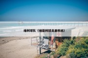 维利球队（维亚利球员兼教练）