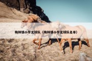 梅林镇小学足球队（梅林镇小学足球队名单）