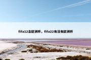 fifa12含欧洲杯，fifa22有没有欧洲杯
