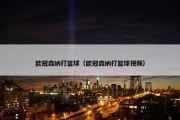欧冠森纳打篮球（欧冠森纳打篮球视频）