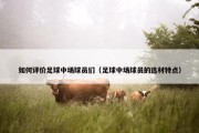 如何评价足球中场球员们（足球中场球员的选材特点）
