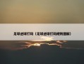 足球进球打码（足球进球打码规则图解）