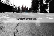 ap看回放（哪里看回放）