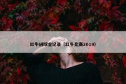 红牛进球全记录（红牛比赛2019）