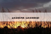 山东足球队列表（山东足球俱乐部）