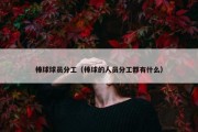 棒球球员分工（棒球的人员分工都有什么）