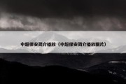 中超保安简介播放（中超保安简介播放图片）