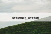 荷甲积分榜福伦丹，荷甲甲积分榜