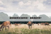 曼联英超排名垫底球员？ 曼联英超榜首？