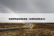 匈牙利甲组足球队排名（匈牙利足球队实力）