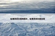 哈佛茨切尔西帅照片，哈弗茨切尔西合同