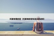 托雷斯看欧冠（托雷斯欧冠生涯全部进球）