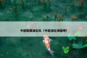 中超联赛湖北队（中超湖北绿茵吧）