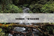 马拉圈回放，7套马拉车视频