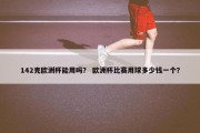 142克欧洲杯能用吗？ 欧洲杯比赛用球多少钱一个？