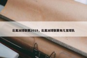 北美冰球联赛2019，北美冰球联赛有几支球队