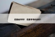 巴西老爷爷？ 巴西爷爷的资料？