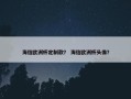 海信欧洲杯定制款？ 海信欧洲杯头像？