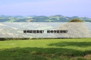 姚明欧冠赛程？ 姚明夺冠视频？