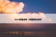 2015武磊进球（武磊精彩进球）