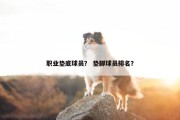 职业垫底球员？ 垫脚球员排名？