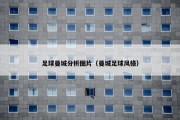 足球曼城分析图片（曼城足球风格）