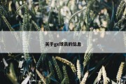 关于gx球员的信息