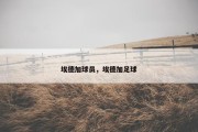 埃德加球员，埃德加足球