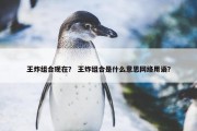 王炸组合现在？ 王炸组合是什么意思网络用语？