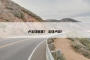 卢足球联赛？ 足球卢因？