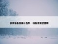 欧青格鲁吉亚以色列，格鲁吉亚欧盟旗