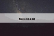 森纳2比的简单介绍