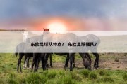 东欧足球队特点？ 东欧足球强队？
