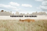 中超联赛周末推荐（本周中超赛程表）