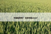 中超耻辱榜？ 足球中超2021？