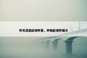 昨天凌晨欧洲杯里，昨晚欧洲杯爆冷